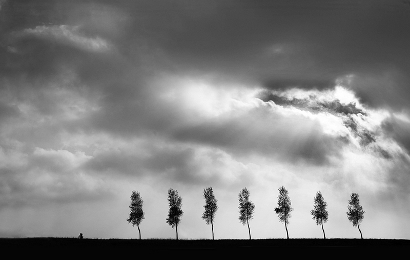 655 - MOODY SKY - VENANT CORRIE - netherlands.jpg